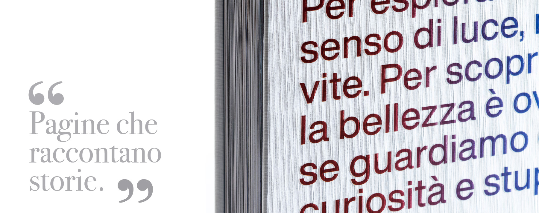 Tavola disegno 8 copia 4-80